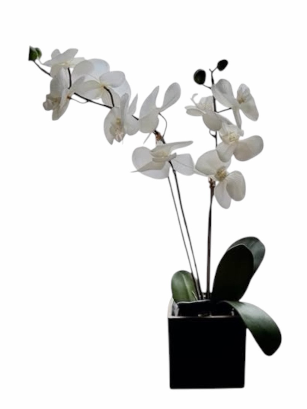 Faux Orchid Plant in Ceramic Pot
